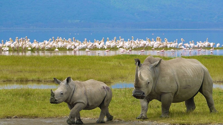 Nakuru Town